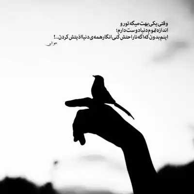 دانلود آهنگ  دوست داشتم