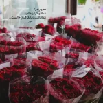 دانلود آهنگ جدید محسن چاوشی نمیدونم قلبم واسه چی ول کن نیست کیفیت ناب mp3 دانلود آهنگ جدید محسن چاوشی نمیدونم قلبم واسه چی ول کن نیست کیفیت ناب mp3