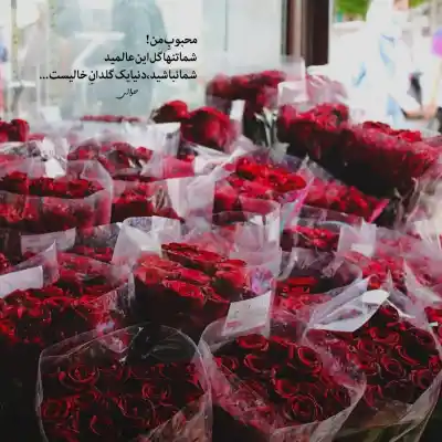 دانلود آهنگ  نمیدونم قلبم واسه چی ول کن نیست