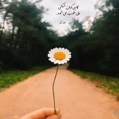 دانلود آهنگ  نازی نازی ولک نمک میریزه با صدای زن