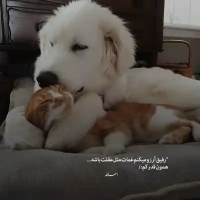 دانلود آهنگ  خونه از سوگند