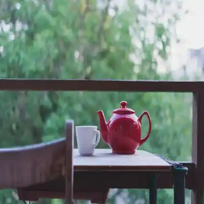 دانلود آهنگ  زبونت میگه برو چشمت نمیگه من نرم عرفان