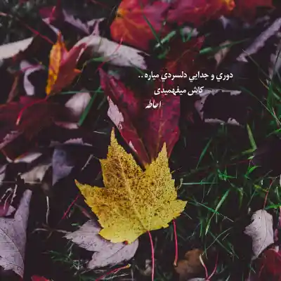 دانلود آهنگ  اگه دلی گرفته داری که نباید گریه کنی