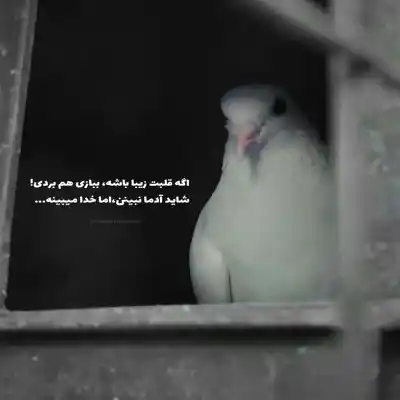 دانلود آهنگ  باز داره بارون میزنه یعنی چطوره حالت