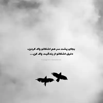 دانلود آهنگ  cansever bitermi ola