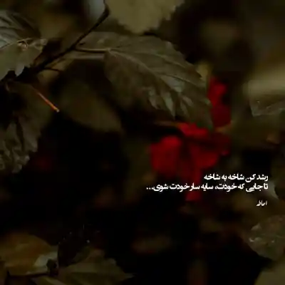 دانلود آهنگ  انگار دیگه شانس با منه
