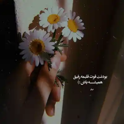 دانلود آهنگ  قید همه چیزو زدم واسه اینکه تو الان باهامی
