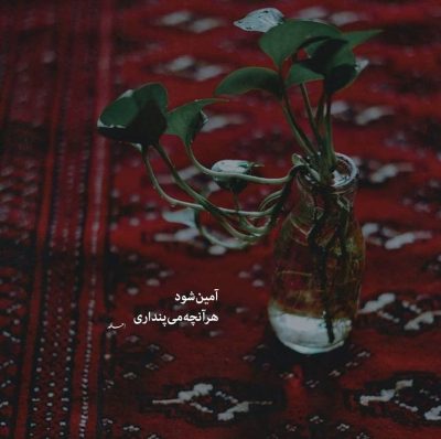 دانلود آهنگ  نرو که جوانی عذاب من است