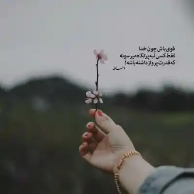 دانلود آهنگ  شادمهر عقیلی تموم زندگیمو فقط با یه اشاره