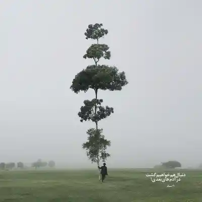 دانلود آهنگ  چی بگم از دلم خودت میدونی چمه