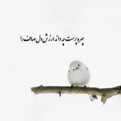 دانلود آهنگ جدید دخترای بد از تی ام بکس MP3 کیفیت 320 دانلود آهنگ دخترای بد از تی ام بکس