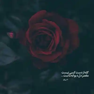 دانلود آهنگ  انتخاب اول و آخر قلبم تویی از حسین بارانی