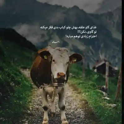 دانلود آهنگ  عشق بندر سندی