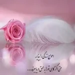 دانلود آهنگ جدید حمید هیراد شوخیه مگه کیفیت ناب mp3