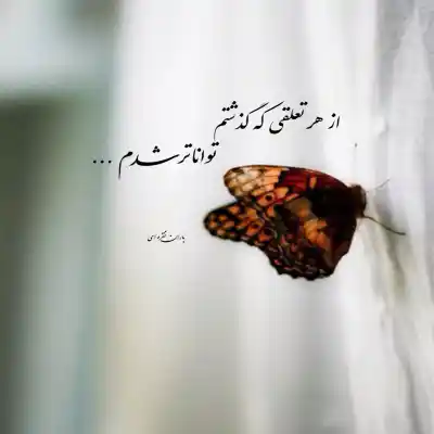 دانلود آهنگ  این عشقه از سامی بیگی