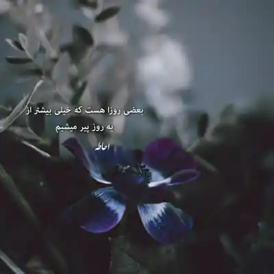 دانلود آهنگ  میگم که کاشکی شاه بودم از ستار