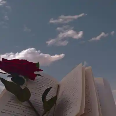 دانلود آهنگ  نیست شو علیرضا قربانی