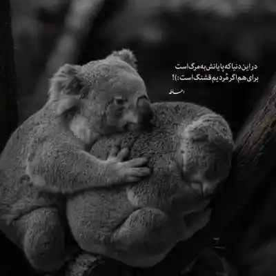 دانلود آهنگ  پیش تو شادمهر عقیلی