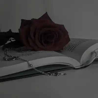 دانلود آهنگ  ستاره خونم شدی تو وصله جونم شدی معین