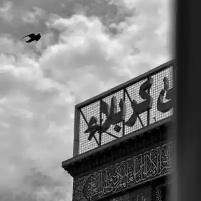 دانلود مداحی تو که آخر گره رو وا میکنی 320 اصلی دانلود آهنگ تو که آخر گره رو وا میکنی