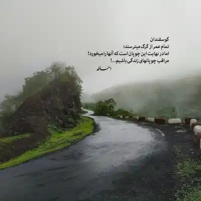دانلود آهنگ  واهمه مرتضی جعفرزاده