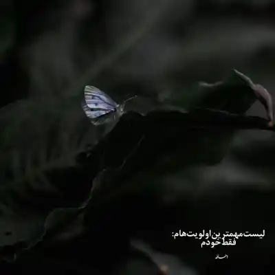 دانلود آهنگ  یادمه یه روز یکی بود عاشق نگاش شدم من مهدی احمدوند