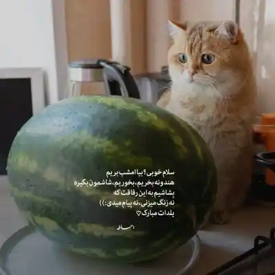 دانلود آهنگ  زنگ تفریح از هاتف