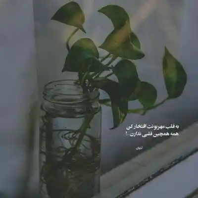 دانلود آهنگ  عزیز جان فریدون آسرایی