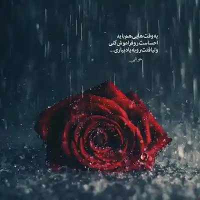 دانلود آهنگ  نه عمر خضر بماند نه ملک اسکندر