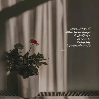 دانلود آهنگ  محمد علیزاده برگردی ای کاش