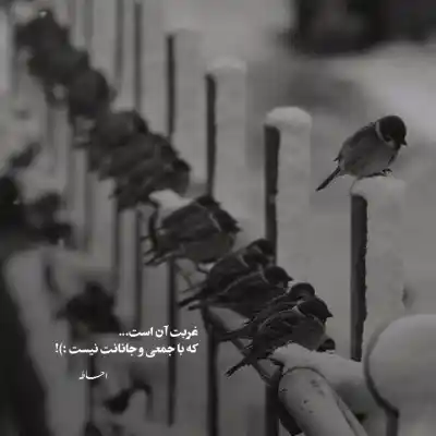 دانلود آهنگ  عرفان طهماسبی امشب