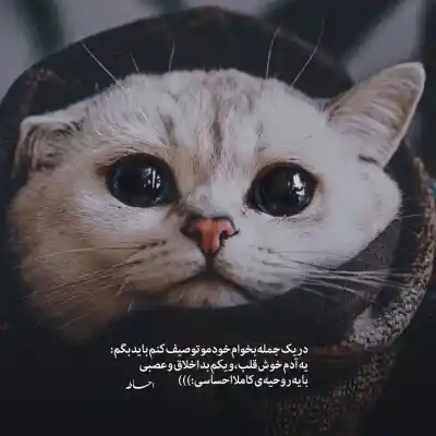 دانلود آهنگ  فکرشم نکن محمد علیزاده