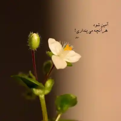 دانلود آهنگ  فریدون فروغی انگار دستام