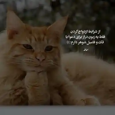 دانلود آهنگ  خسته و در به در شهر غمم داریوش