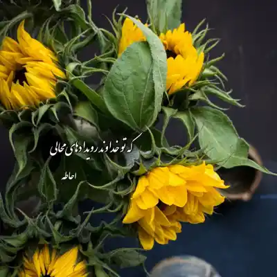 دانلود آهنگ  نه از دلم برانمت نه از دلی ستانمت