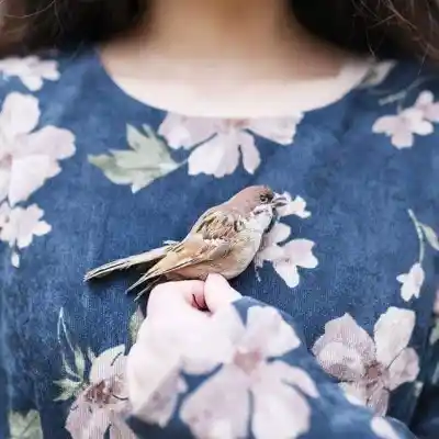 دانلود آهنگ  همیشگی از شادمهر