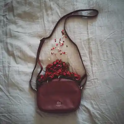 دانلود آهنگ  شیرین شیرینه یار منصور