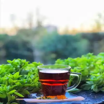 دانلود آهنگ  تو رگ خشک درختا درد پاییز میگی
