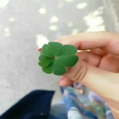 دانلود آهنگ  تو رفتی و نموندی دل منو شکوندی با صدای زن