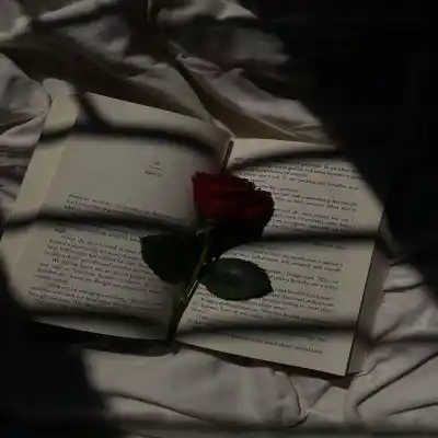 دانلود آهنگ  سیاوش قمیشی آخرین نامه