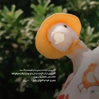 دانلود آهنگ  کایلی مینوگ نمیتونم تو رو از سرم بیرون کنم
