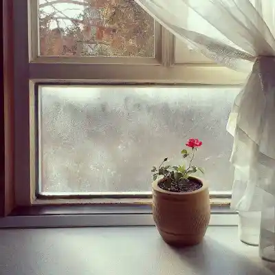 دانلود آهنگ  دختر بندری شهرام کاشانی