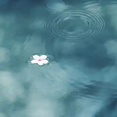 دانلود آهنگ  صد بار اومدی رفتی بد کردی مهدی احمدوند