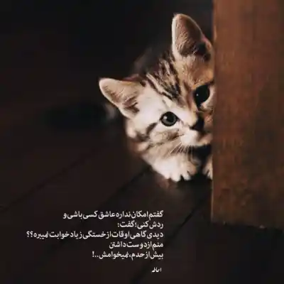 دانلود آهنگ  شب بخیر شهرام صولتی