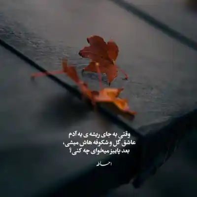 دانلود آهنگ  ای دلبرم قدت بلنده چشات سیاه اینستا