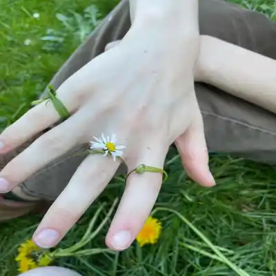 دانلود آهنگ  جناق از حسن شماعی زاده