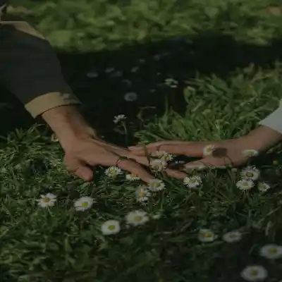 دانلود آهنگ  تا بهار زندگی