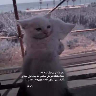 دانلود آهنگ  اسم من از یاد تو رفت از ستار