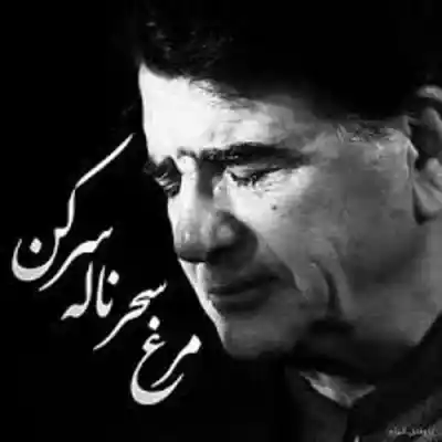 دانلود آهنگ  مرا به هیچ بدادی از سورنا شجریان بهرام مسین شایع