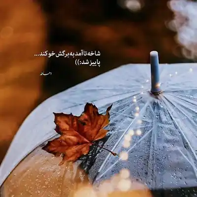 دانلود آهنگ  بی تو از فاصله دور دلم میگیرد از میثم احمدی